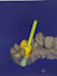 3d dental designing, full anatomic crowns
