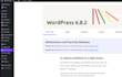 provide bug fixes, updates and full wordpress website care