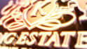 do 3d cinematic luxury logo animation reveal intro