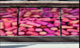 3d cgi cosmetic animation, 3d cosmetic animation, 3d model, 3d cosmetics