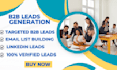 do targeted b2b lead generation, linkedin sales leads, ecommerce leads