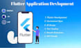 fix bugs and issues in your flutter app, android, and ios