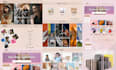 do shopify website design and redesign shopify store design shopify dropshipping