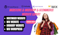 build webstore, webshop ecommerce hostinger, godaddy, wix website, wix wordpress