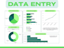 do expert excel spreadsheet data entry services, virtual data entry assistant