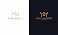 do professional luxury business logo design