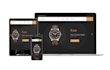 develop wordpress or webshop, fix issues, maintenance, troubleshoot