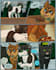 do nsfw comic, sfw comic, furry comic, comic strip, comic