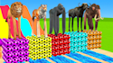 create 3d animal crossing fountain animation