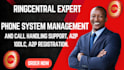 ringcentral setup call handling ringcentral phone system ringcentral sms expert