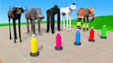 make long slide game animals video and 3d funny animals game