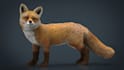 3d animal model, animal animation, 3d fur, 3d animal rigging