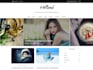 build stunning wordpress website design