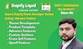 build a premium shopify store with custom features