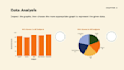 do data cleaning, analysis, statistics, tables and charts