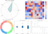 give expert data scientist services for eda, ml, and python projects