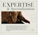 be your professional shopify virtual assistant