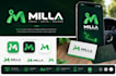 design complete brand identity with brand kit and guidelines