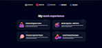 make custom responsive portfolio software engineer website developer react next