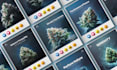 make social media post for cannabis, cbd products