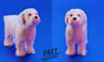 design 3d modeling , animal, cartoon character and rendering