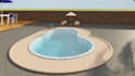 provide professional swimming pool and landscape design
