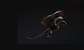 3d dragon model, 3d animal design,3d monster, alien creature 3d realistic models