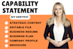 design a professional government capability statement, capability statement