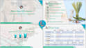 make stunning prezi and powerpoint presentations