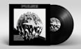create an animated vinyl for your spotify canvas or music ad