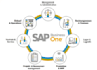 keep your sap record up to date