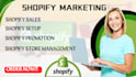 do shopify store promotion and boost shopify sales