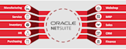 do netsuite administration and consultation works