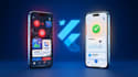 fix flutter app bugs and crashes