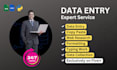 data entry expert services