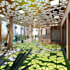 create terrace garden design