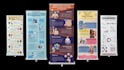 design data visualization infographics and roadmaps