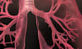 do high quality 3d medical animation video and modelling