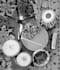 record live percussion for you beat