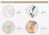 create fully customized educational posters and infographics