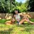 create dog product ugc video content