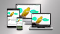 design modern responsive wordpress website for small business