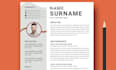 build professional resume design and CV layout