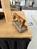 design cad models for sheet metal and additive manufacturing