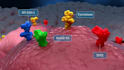 create 3d medical video cancer treatment moa immunotherapy pharma animation