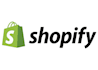 build a professional shopify, drop shipping ecommerce store