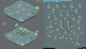 do game development, 2d game assets creation, prototype, mobile game, unity, 2d