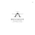 do luxury aviation logo with my creative thinking