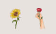 draw anything with watercolor illustration style