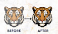 professionally redesign or vectorize your logo in high quality